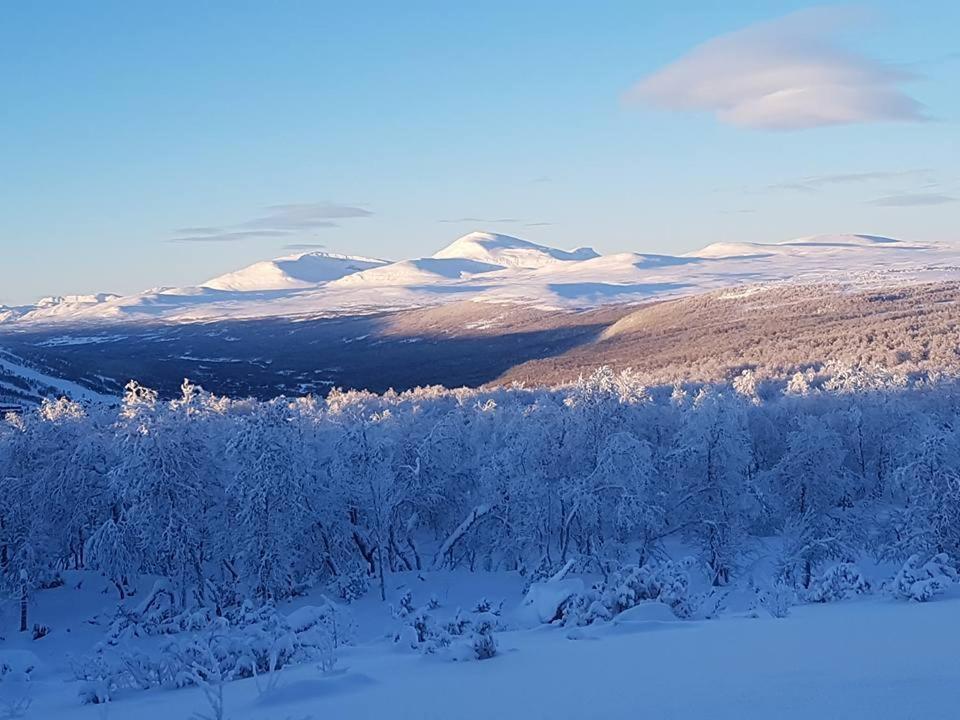 Bruksvallarna - Modern Fjaellstuga Med Panoramautsikt Och Wifi Kültér fotó