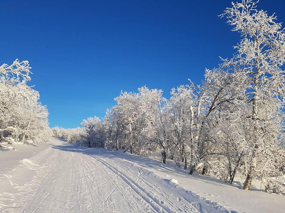 Bruksvallarna - Modern Fjaellstuga Med Panoramautsikt Och Wifi Kültér fotó
