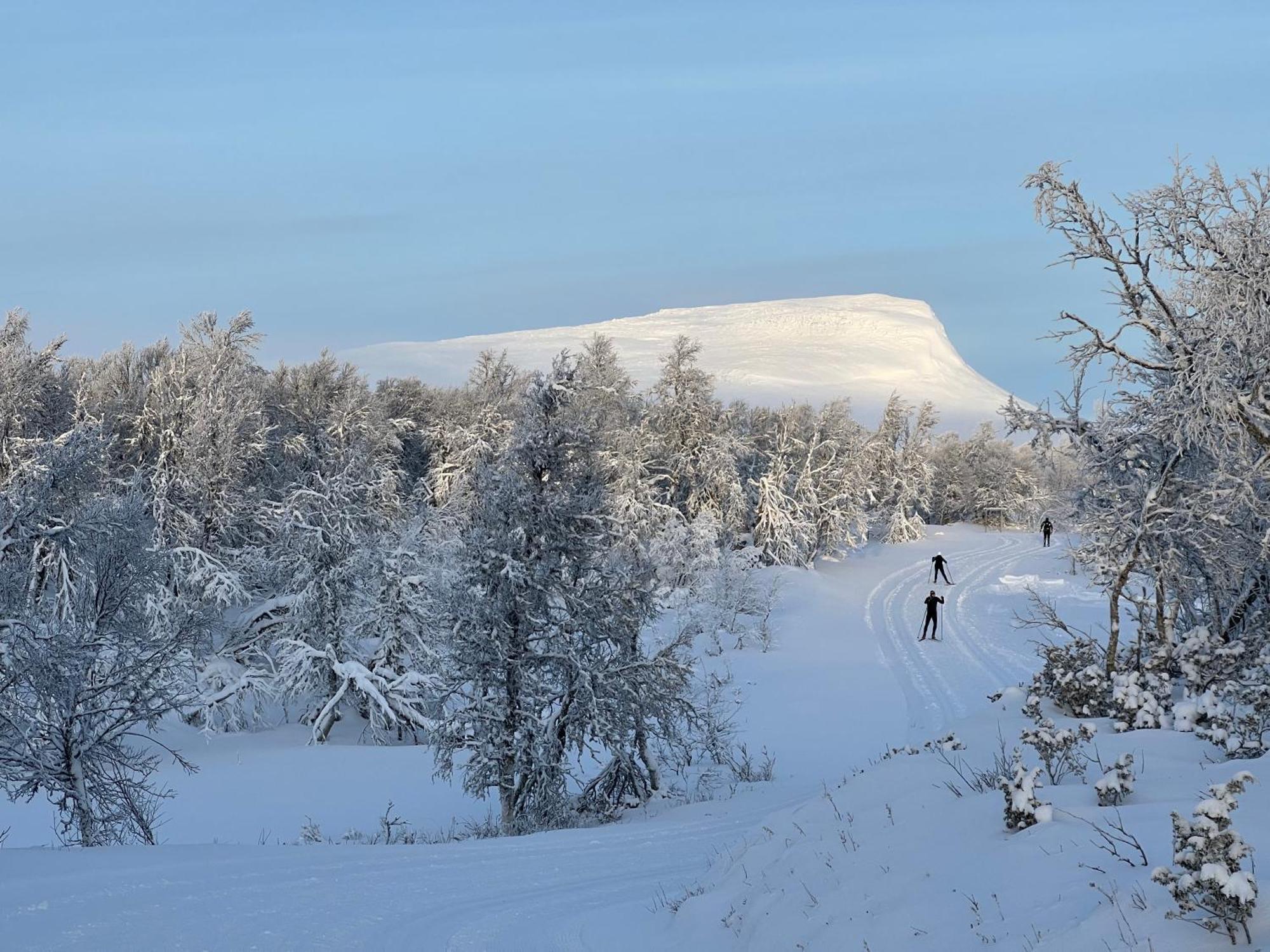 Bruksvallarna - Modern Fjaellstuga Med Panoramautsikt Och Wifi Kültér fotó
